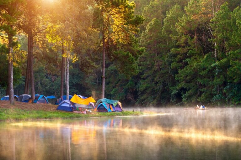 Campings idéals pour les familles